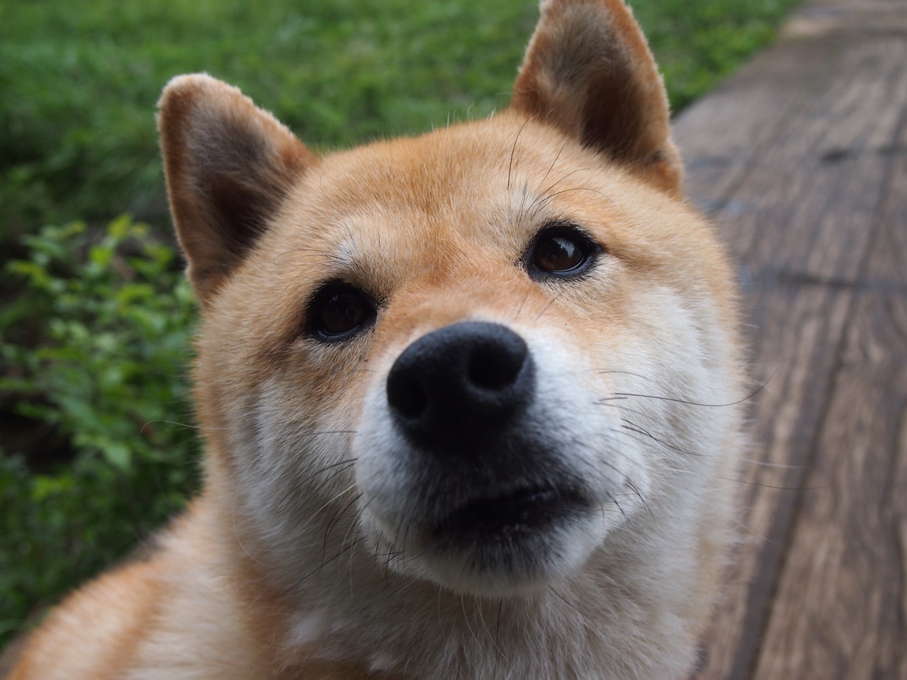 kaiyun开云·官方网站-CS2 赛事规则优化提升竞技公平，cs2游戏