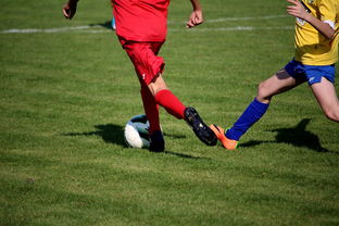 kaiyun登录入口-中国足球俱乐部与国际知名足球学院合作，中国足球俱乐部和国家队